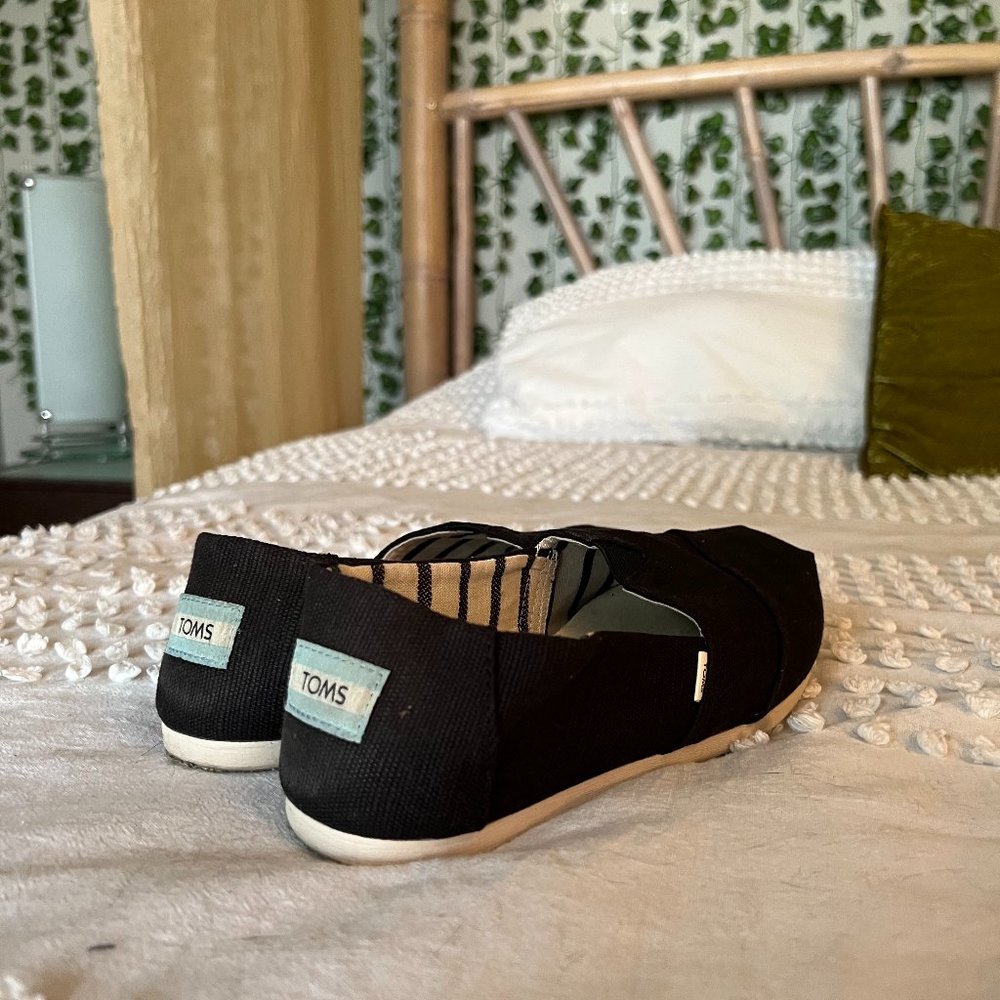 TOMS Canvas Shoes